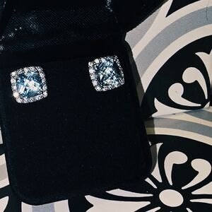 Elegant Silver and Blue Stud Earrings